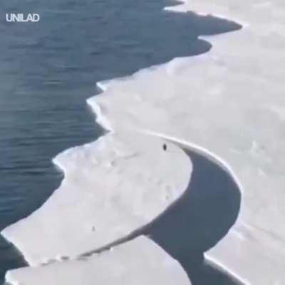 🔥 Penguin Escape