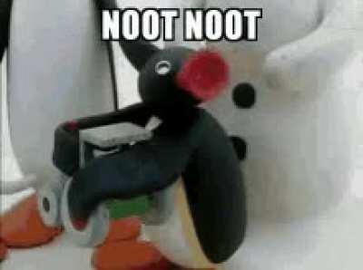 Noot Noot