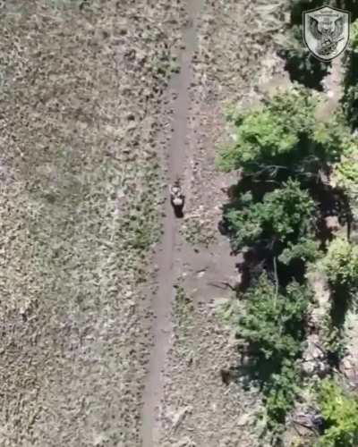 Ukrainian drone drops in the Bakhmut direction 