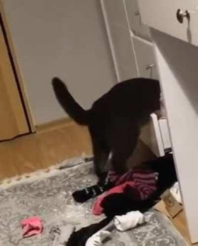 HMC while I frantically search for cat crack.