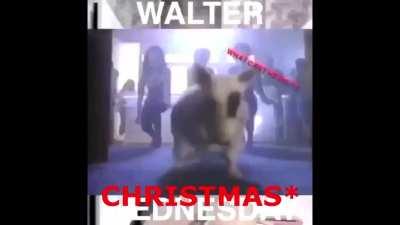 A Walter Christmas, happy holidays everyone!