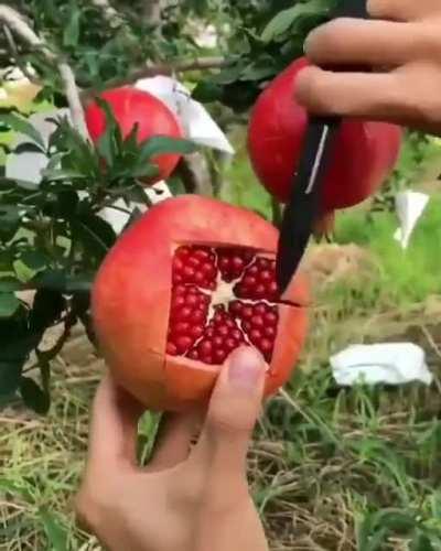 How to effectively slice a pomegranate- if anyone needs help with that today