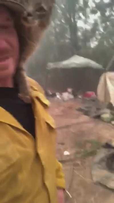 A firefighter being thanked by a very friendly cat after rescuing it from a wildfire