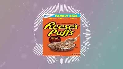 reeses puffs x mario kart wii