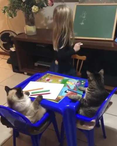 Lil girl teaching her cats how to draw a flower