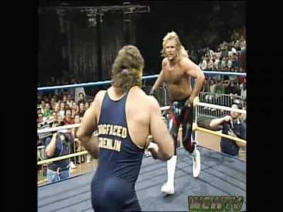 The Fabulous Freebirds VS The Steiner Brothers