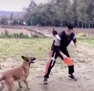 Dog Karate routine