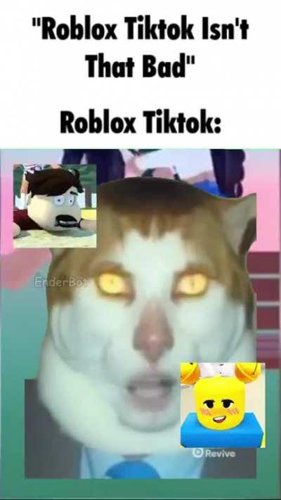 cara meme roblox｜Pesquisa do TikTok