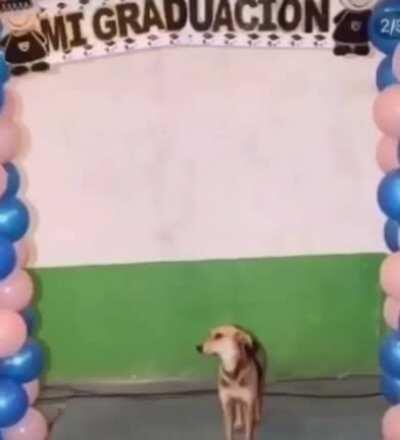 Literal arc