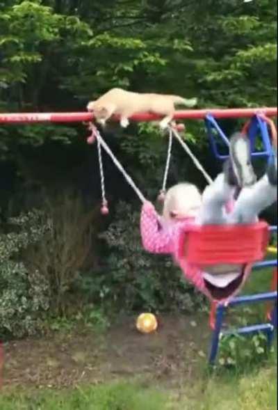 Cat Falls On Swinging Girl