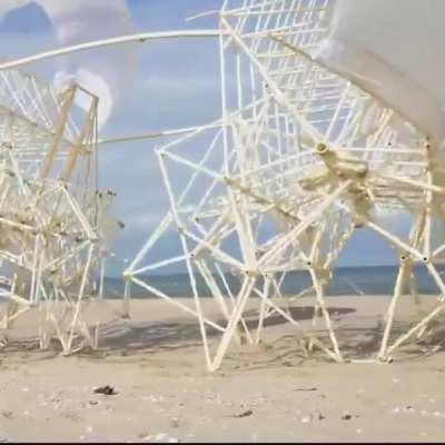 Strandbeests is a windpowered sculpture that gracefully walks on the beach..