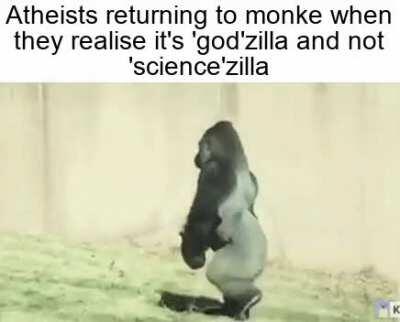 The return to monke