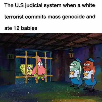 Our Judicial system loves white terrorists.