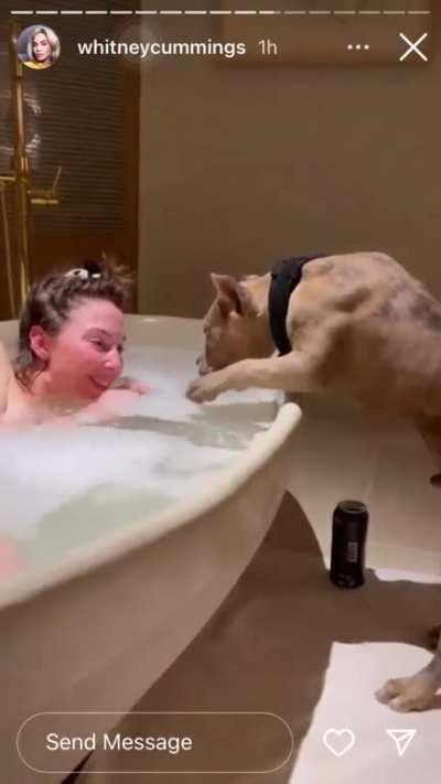 Puppy tub video