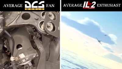 Average DCS Fan vs Average IL2 Enthusiast