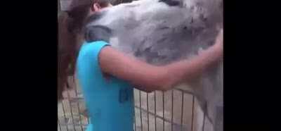 Donkey recognizes girl who raised him