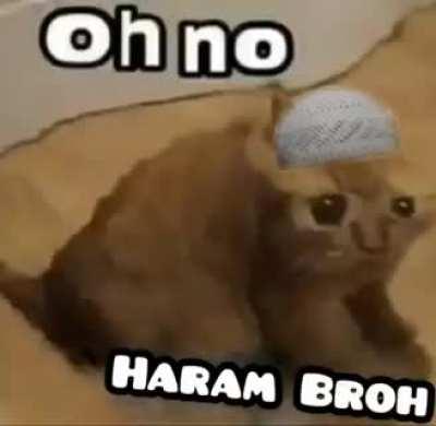 Haram Broh