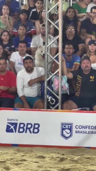 The synchronization of these people's faces when watching beach tennis.