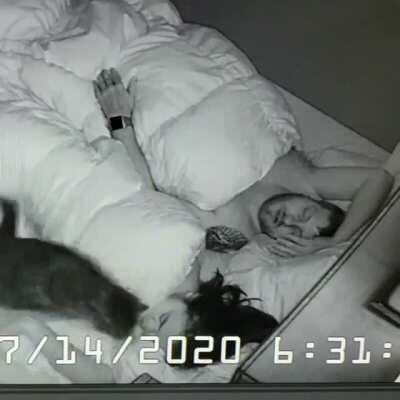 Worst. Alarm. Ever.