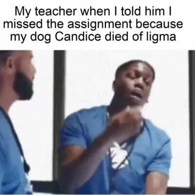 Can't believe he never heard of ligma.