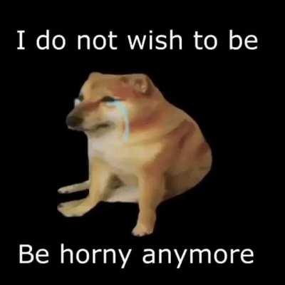 Epic horny dog