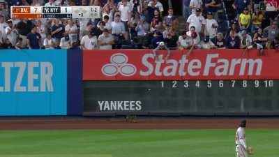 [Highlight] A cat runs loose in the Stadium, evading Yankee personnel and getting MVP chants from the fans