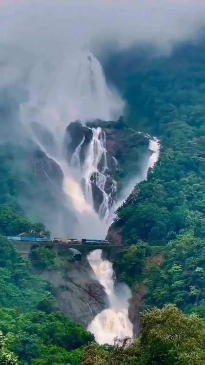 🍑 Indian Railways train passing through Dudhsagar Falls, Go...