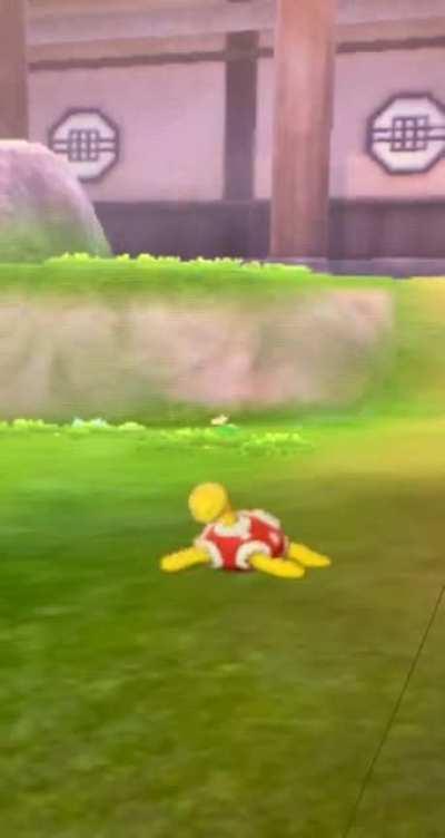 Shuckle's never gonna break his stride