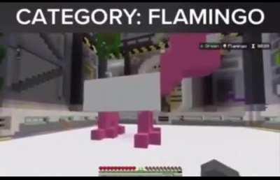 That's a rare type of flamingos