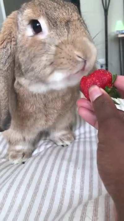 Just enjoying a strawberry