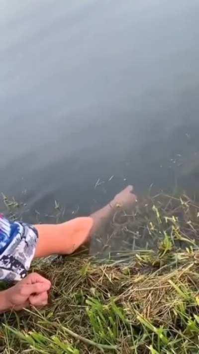 Catching a fish with his bare hands. (Noodling)