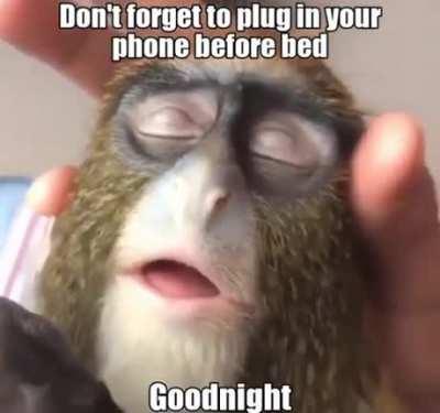 baby monke with a reminder