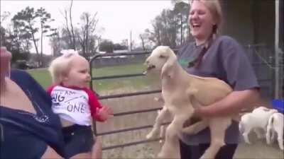 Toddler Meets Baby Goat For The First Time