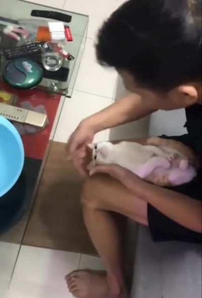 Vietnamese grandpa and cat teach new parents how to give baby a bath