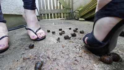 Heels and flip flops crush snails