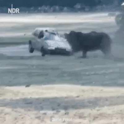 🔥 Never Tailgate a Rhino