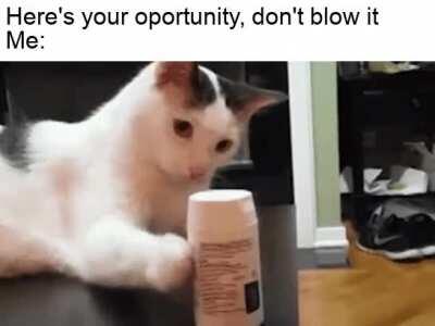 I'll blow it again