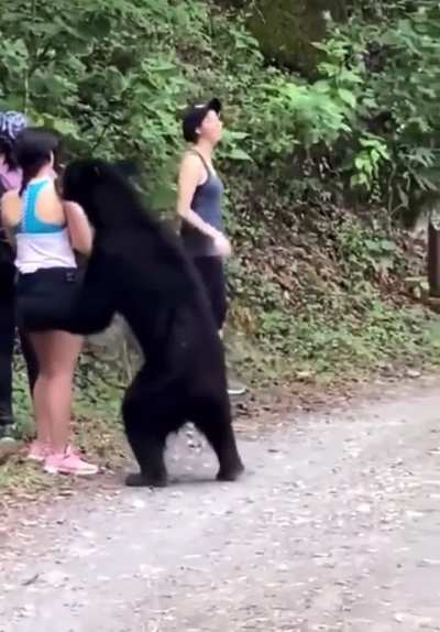 Women encounter a black bear…