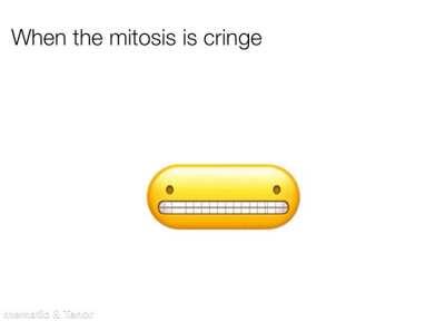 when the mitosis doesn’t mitosis