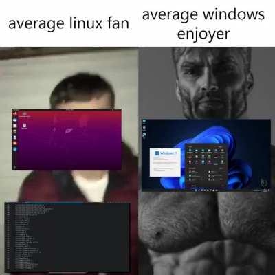 average linux fan average windows enjoyer