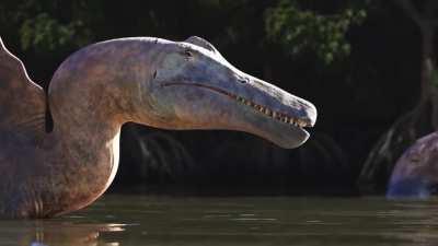 Dino Porn Tube Animals - ðŸ”¥ Spinosaurus aegyptiacus by Chris Masna : Naturewasmetal...
