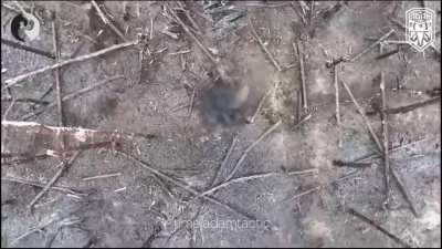 Ukraine's &quot;Adam&quot; unit bombs Russian trenches using drone-dropped grenades. November 2023.