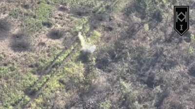 A group of Ukrainian soldiers hidden in a trench used an RPG to blast a Russian soldier instantly, causing the victim's head to be blasted off.