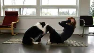 Girl trains dog to help with her yoga and do his own