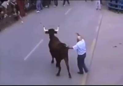 Calming an agitated bull