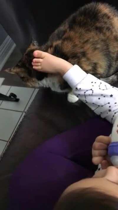 When your hands are busy but kitty needs pets