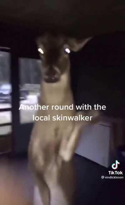 The first rule of skinwalker fight club...