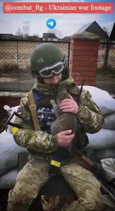 Ukrainian girl soldier petting kitty.