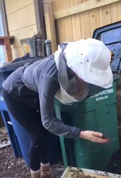 She is scooping bees with her bare hands, oh God, oh dear, she's awesome