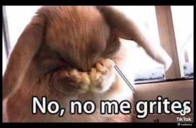 No me grites😞